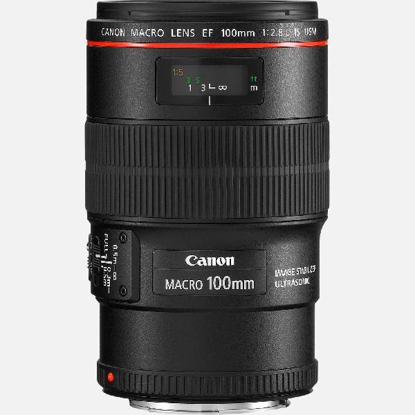 Canon EF 100mm f/2.8L Macro IS USM lens