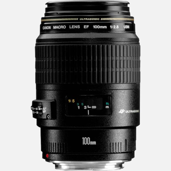 Canon EF 100mm f/2.8 Macro USM lens