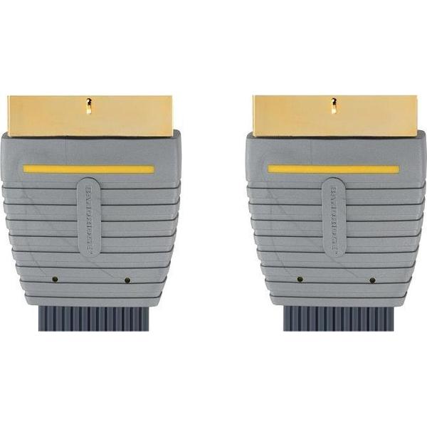 Bandridge SCART KABEL 10 meter (21-pins) Zwart, Grijs BVL7310