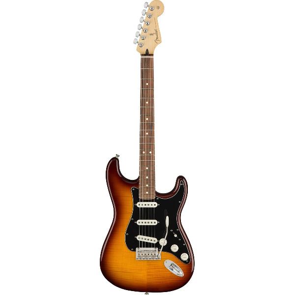 Player Stratocaster Plus Top PF Tobacco Sunburst