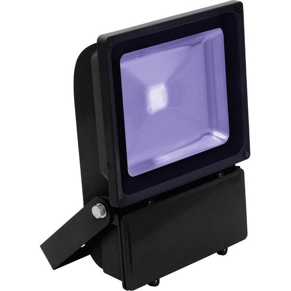 EUROLITE LED IP FL-100 COB UV Blacklight