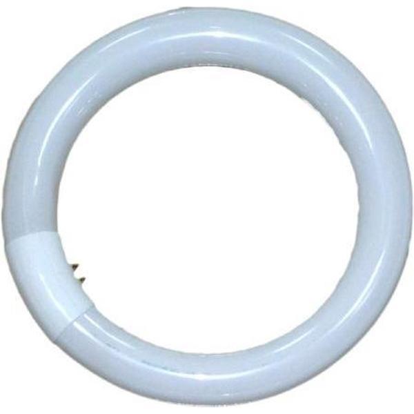 Falcon Eyes 291075 ecologische lamp 22 W T9 Daglicht