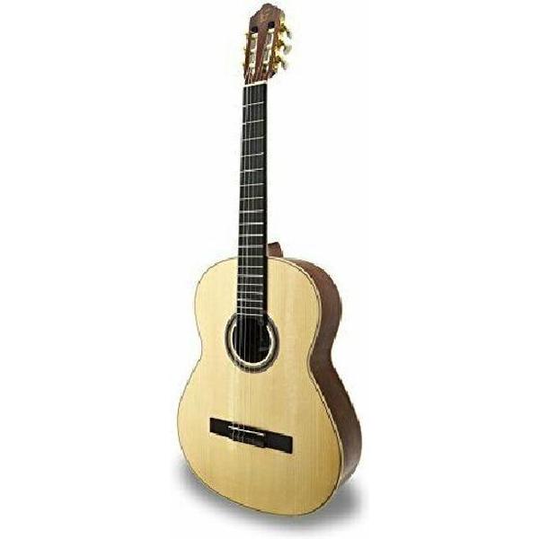 APC Instruments - Gitaar - 6 snaren