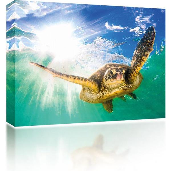 Sound Art - Canvas + Bluetooth Speaker Turtle In The Sea (23 x 28cm)