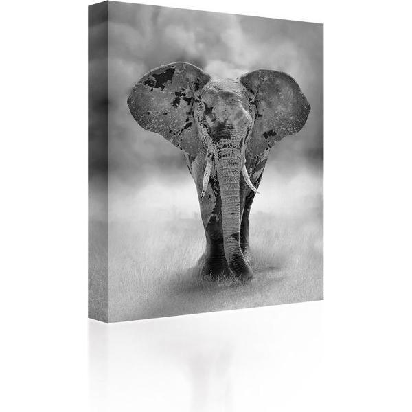 Sound Art - Canvas + Bluetooth Speaker Elephant (23 x 28cm)
