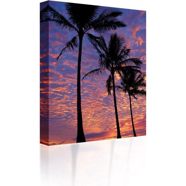 Sound Art - Canvas + Bluetooth Speaker Palm Trees At Sunset (23 x 28cm)