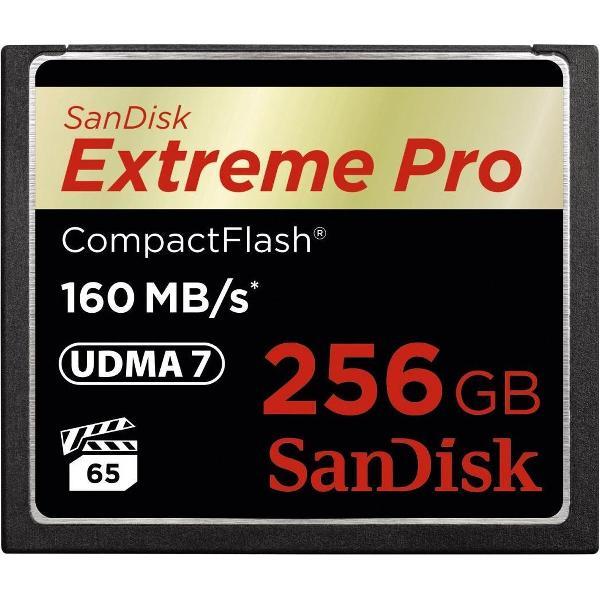 SanDisk - CompactFlash 256GB
