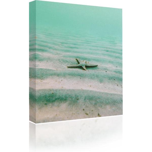 Sound Art - Canvas + Bluetooth Speaker Starfish On The Sand (23 x 28cm)