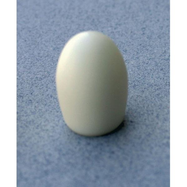 Secret Artist Tip SAT Nylon