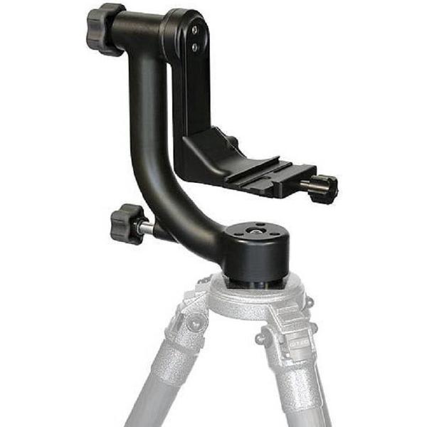 Wimberley WH-200 Head Version II