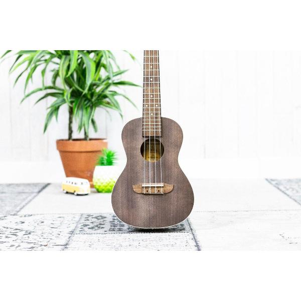 Ortega RUCOAL Concert Ukelele