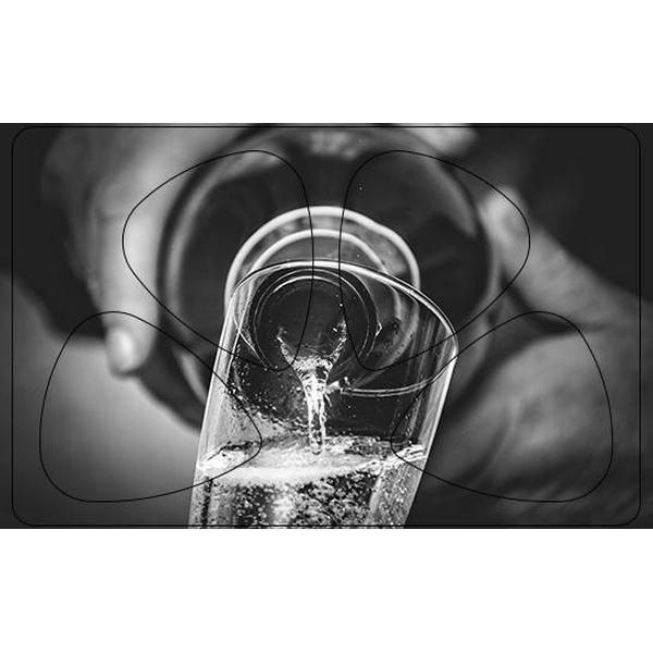 Plectrum Pasje - Proost