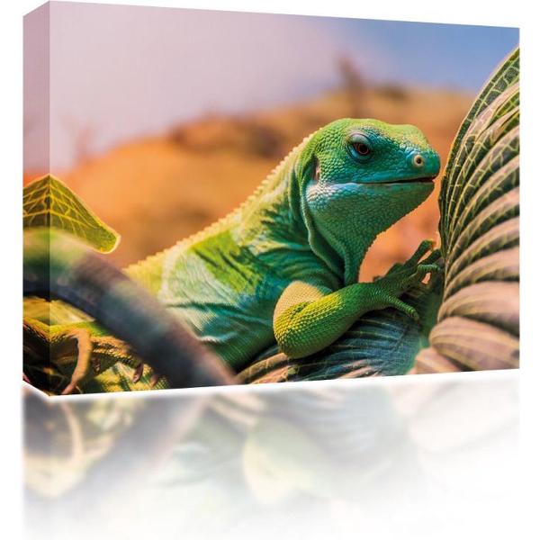 Sound Art - Canvas + Bluetooth Speaker Lizard In The Desert (23 x 28cm)