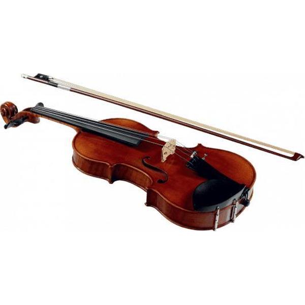 Hoogkwaliteit viool 