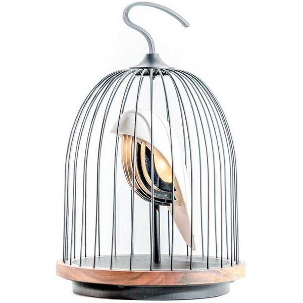 DAQI CONCEPTS - JinGoo Speaker White Hwamei