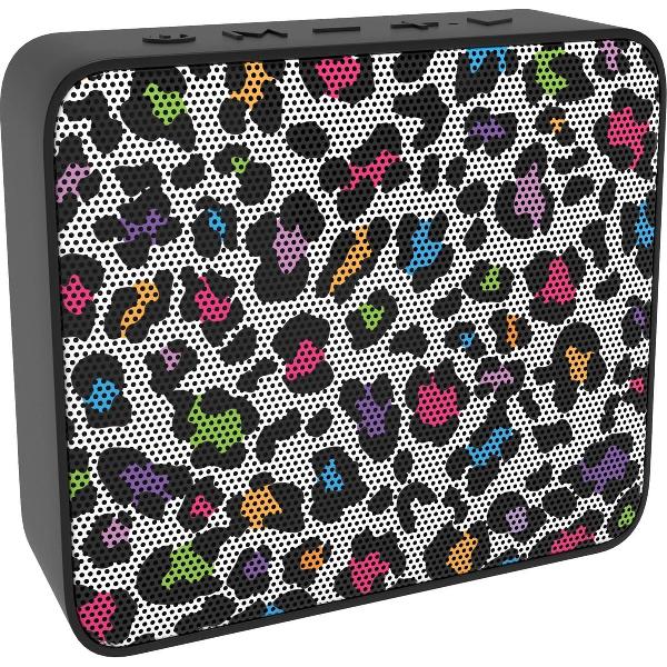 Bluetooth Speaker Soul – Panther