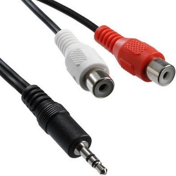 2 RCA Female naar 3,5 MM Male Jack Audio Y-kabel, lengte: 20 cm