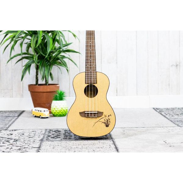 Ortega RU5 Concert Ukelele
