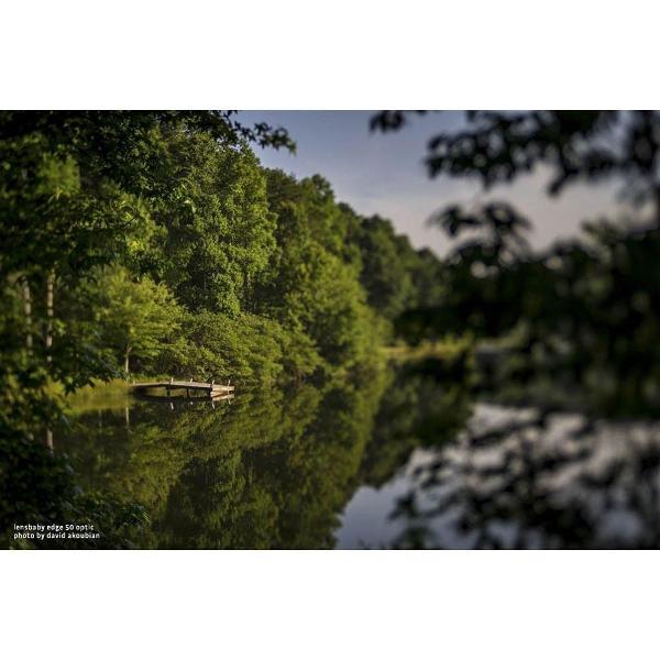 Lensbaby Composer pro II lens met Edge 50 optic - geschikt voor Micro 4/3