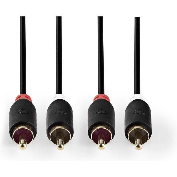 Nedis CABP24200AT20 Stereo Audiokabel 2x Rca Male - 2x Rca Male 2,0 M Antraciet