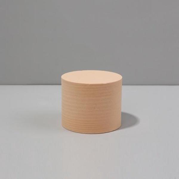 7,6 x 6 cm cilinder geometrische kubus effen kleurenfotografie foto achtergrond tafel schieten schuim rekwisieten (vleeskleur)