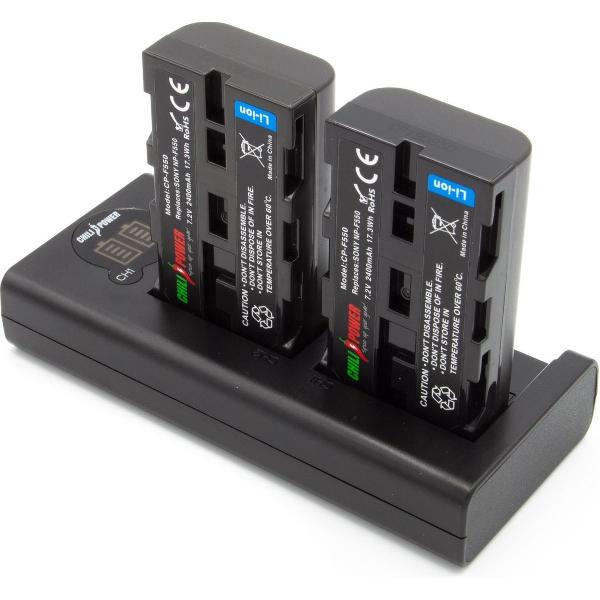 ChiliPower NP-F550 Sony USB Duo Kit - Camera accu set
