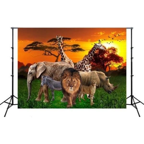 2.1mx 1.5m Grasland Leeuw Dierenfotografie Achtergronddoek (W106)