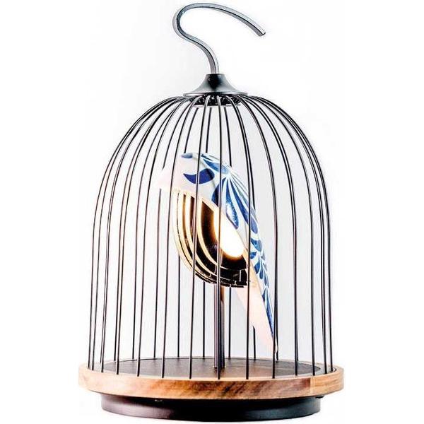 DAQI CONCEPT - JinGoo Speaker feather china