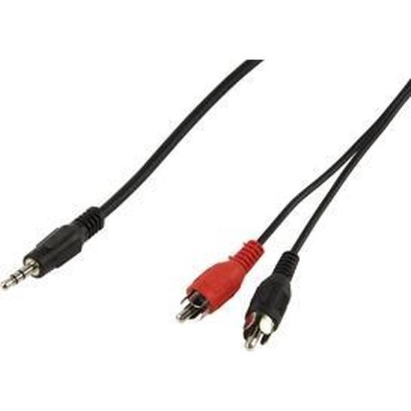 3.5mm stereo mannelijk - 2x RCA mannelijk 2,50 m