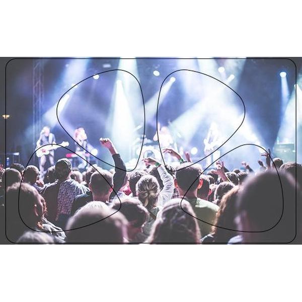 Plectrum Pasje - On Stage - Fans