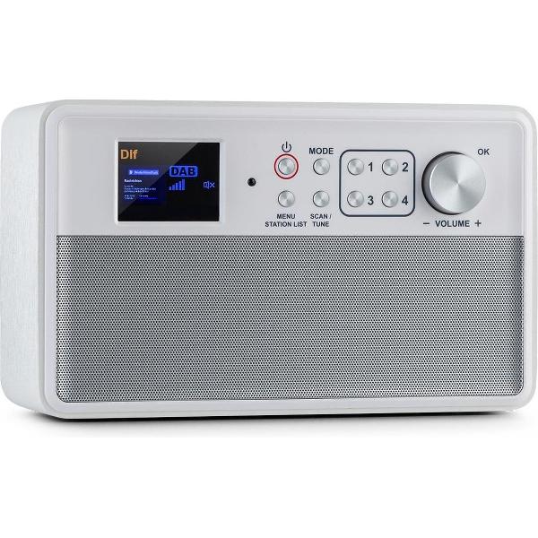 Nestor DAB+ radio DAB+/FM 2 gebruiksmodi 2,4