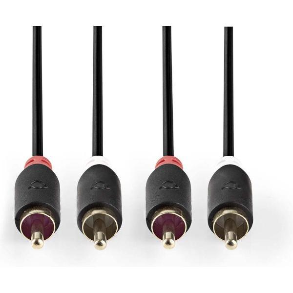 Nedis CABP24200AT30 Stereo Audiokabel 2x Rca Male - 2x Rca Male 3,0 M Antraciet