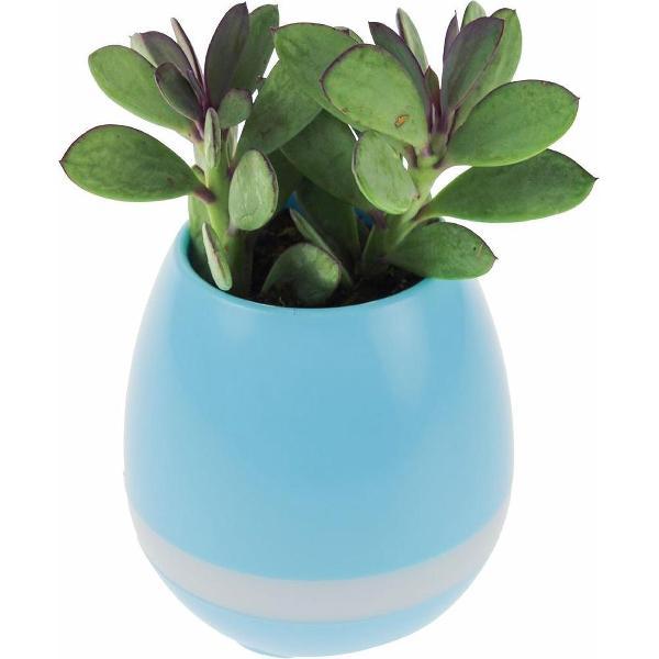 Muzikale Bloempot Speaker met LED verlichting/Portable speaker/Bluetooth Speaker/Moodlight en speaker/Oplaadbaar/