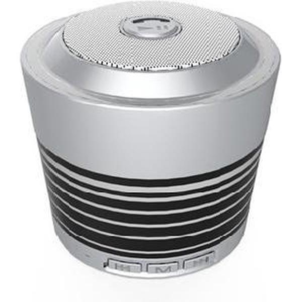 Bluetooth Stereo Speaker with FM Radio _ Silver