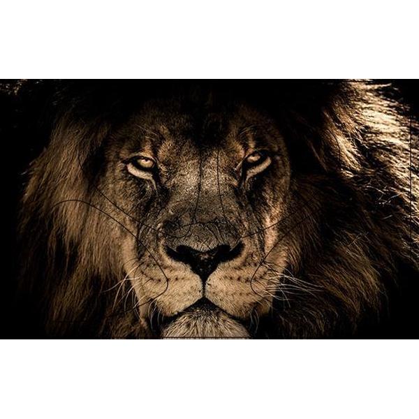 Plectrum Pasje - Leeuw