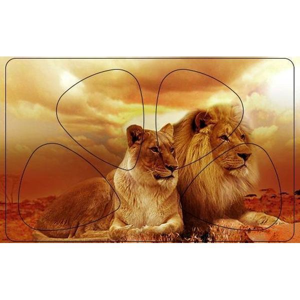 Plectrum Pasje - Leeuw en Leeuwin