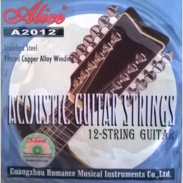 12 String Guitar Strings