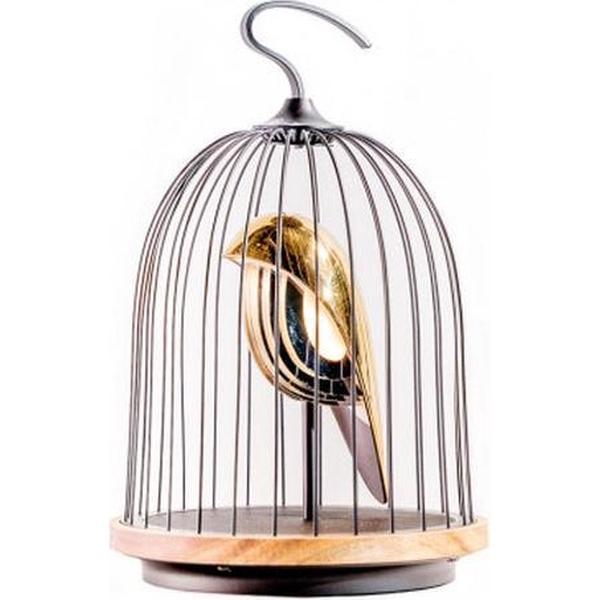 DAQI CONCEPT JinGoo Speaker - The Phoenix