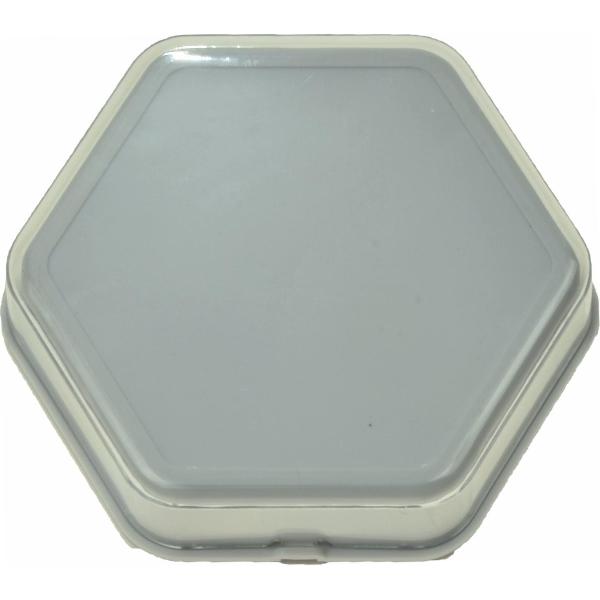 Praatknop Zeshoekige met afbeelding wit en 80 seconden opnametijd