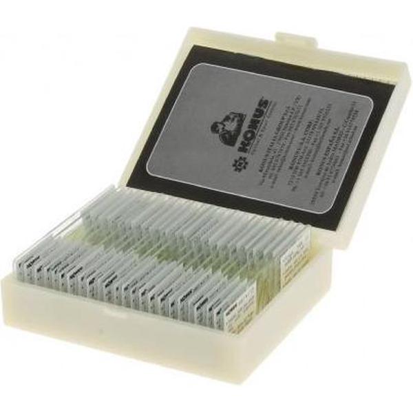 Konus Preparaten Set Biologie: Zologie 1 (25 Stuks)