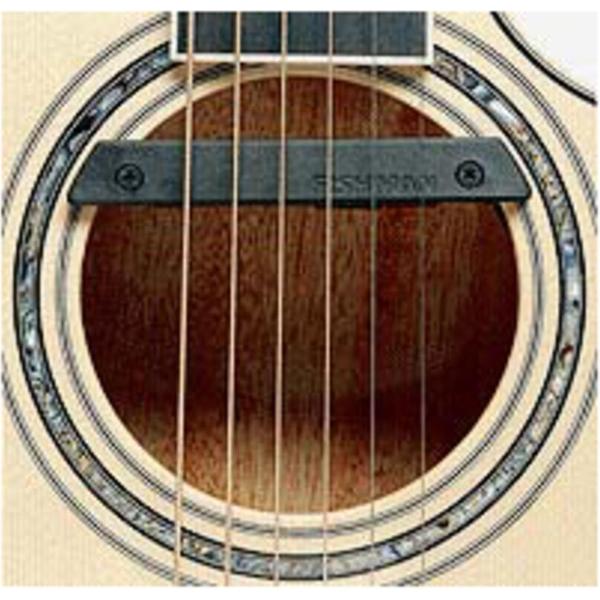 Rare Earth Humbucker klankoch PU