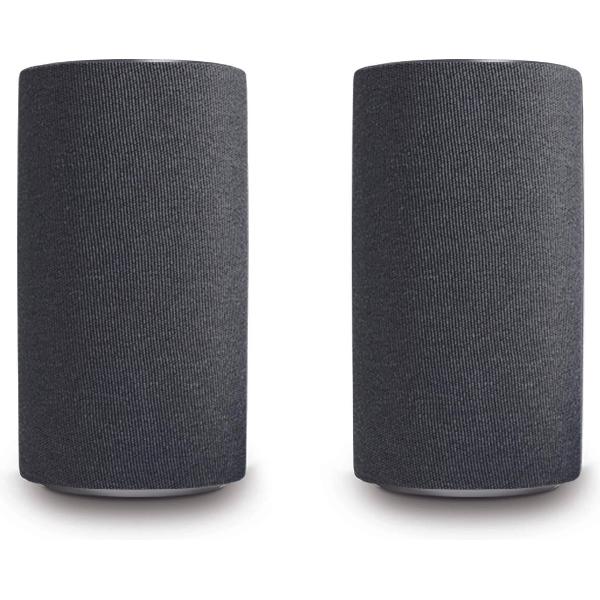 LOEWE KLANG 1 80W Grafiet, Grijs luidspreker