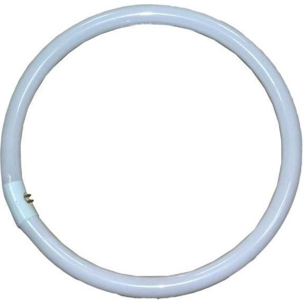 Falcon Eyes 291077 40W T9 Daglicht fluorescente lamp