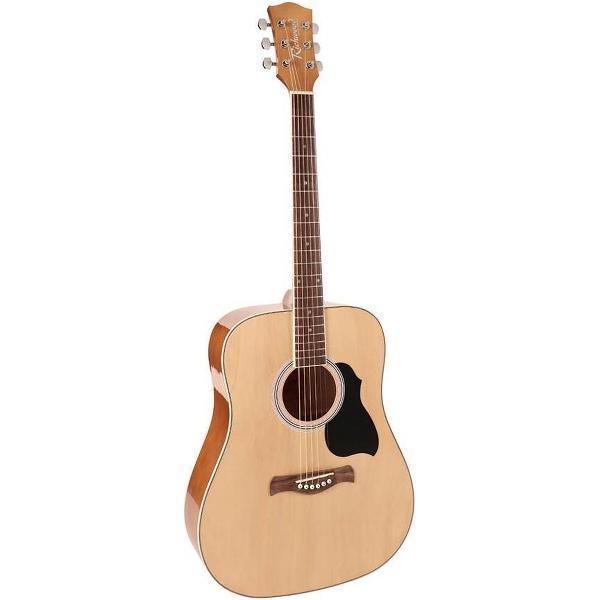 Akoestische gitaar Richwood Artist Series Dreadnought RD-12