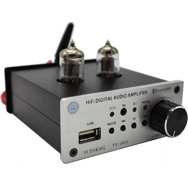 buizen voorversterker met bluetooth, USB, FM radio -Zilver