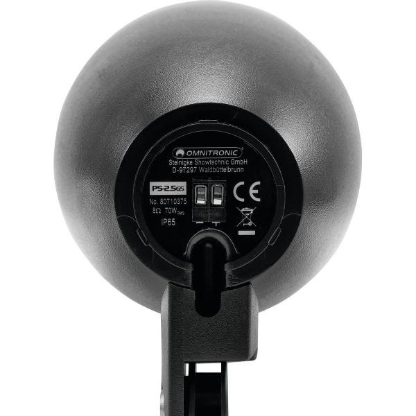 OMNITRONIC PS-2.5GS Projector Speaker, black, 2x