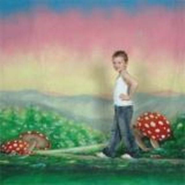 walimex pro achtergrond stof Alice, 3x6m