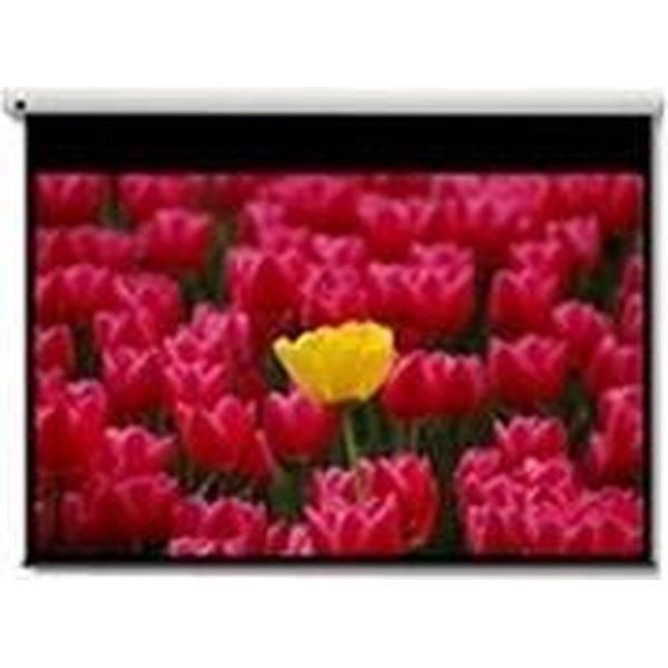 Optoma DE-9120EGA gemotoriseerd bediend projectiescherm 16:9 120 inch diagonaal