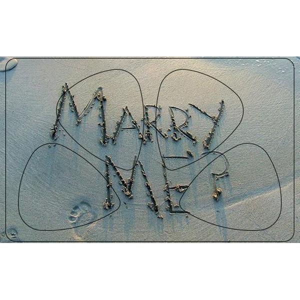 Plectrum Pasje - Huwelijksaanzoek