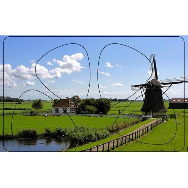 Plectrum Pasje - Nederlandse Molen